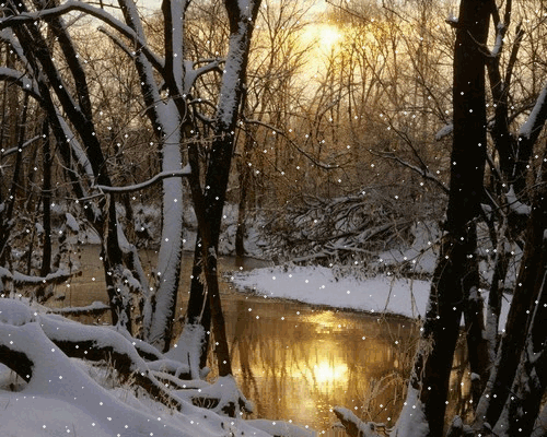 GIFY KRAJOBRAZY-ZIMA - zima w lesie.gif