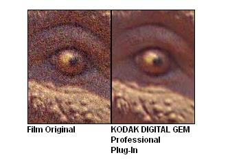 Kodak Digital Gem Airbrush - 3.JPG