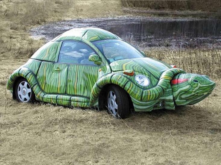 Samochody - autko żółw.jpg