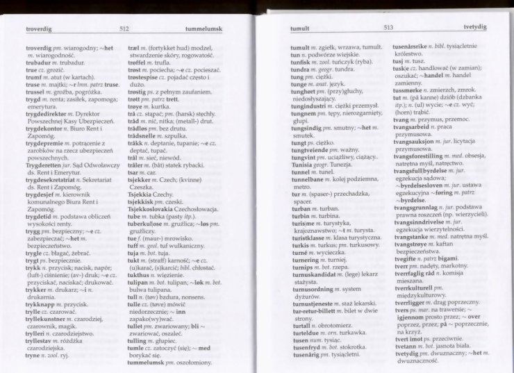 słownik - Słownik Polsko Norweski 254.jpg