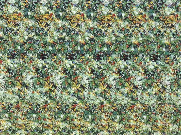 Złudzenia optyczne iluzje - 8Stereogram_5.jpg