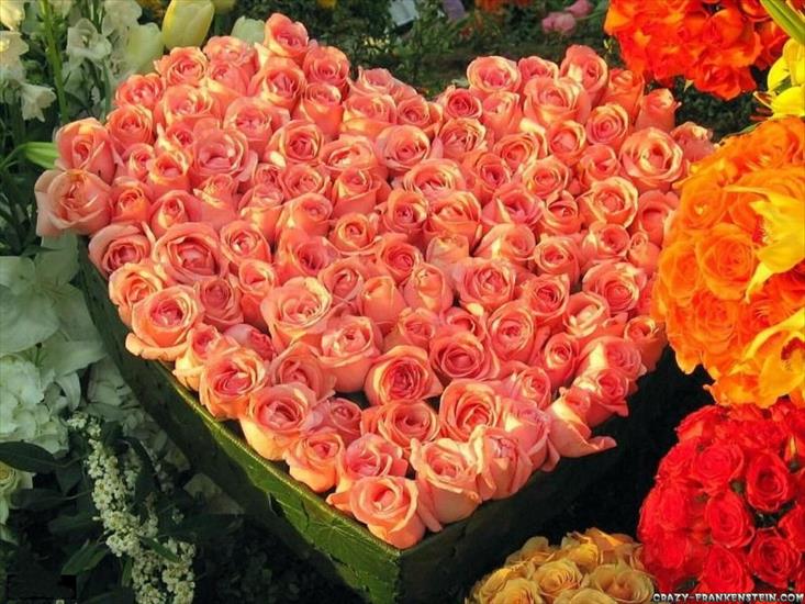 Kwiaty - roses-valentine-wallpaper.jpg