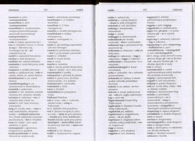 słownik - Słownik Polsko Norweski 264.jpg