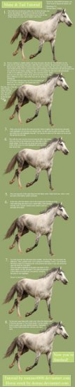 Grzywa konia - Horse_Hair_Painting_Tutorial_by_romino4000.jpg