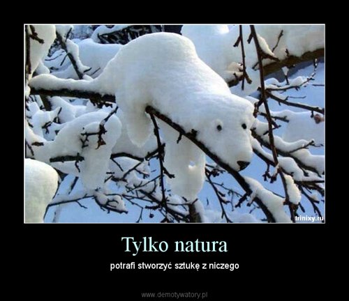 DEMOTYWATORY - natura.jpg