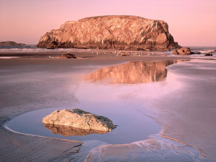 Plaże - Table Rock and Low Tide Reflections, Oregon Isla.jpg