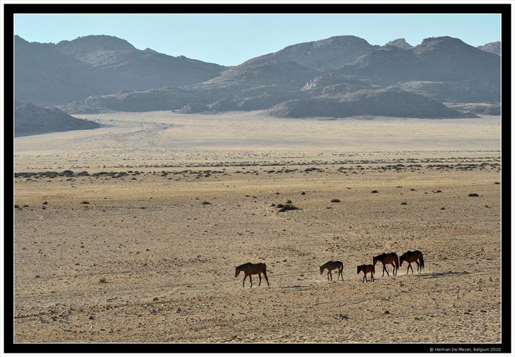 Namibia - krajobrazy - Afyka Namibia_17.jpg