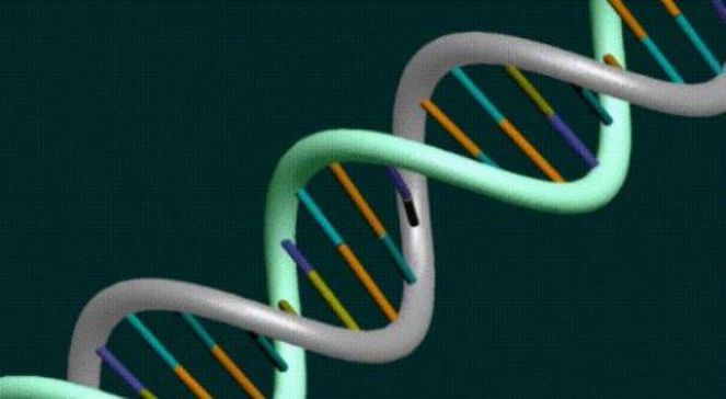 KLUB LUDZI CIEKAWYCH WSZYSTKIEGO - Co kryje nasz genom.jpeg