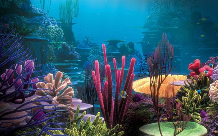 Piekno swiata wodnego i podwodnego - 1280x800-Life-in-the-Coral-Reef.jpg