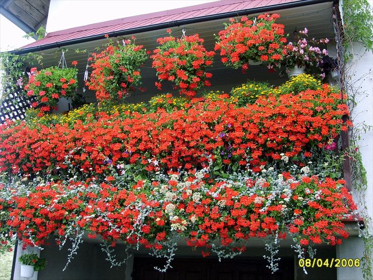 PIĘKNE OGRODY - 03 balkon kwiaty 4.08.2006.JPG