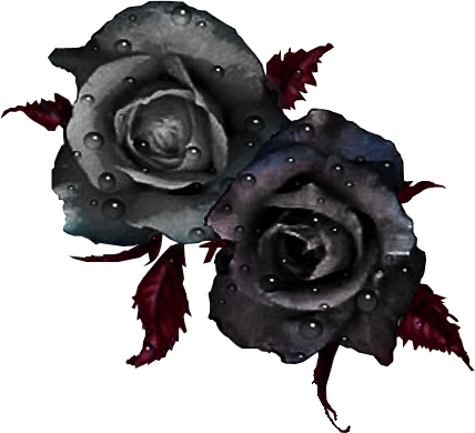  Czarne Kwiaty - Czarne Kwiaty 0985.png