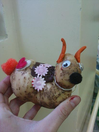 z ziemniaków - z ziemniaka - pies.JPG
