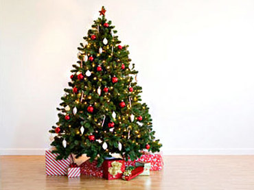Choinka pomysly - christmas-tree-sale.n.jpg