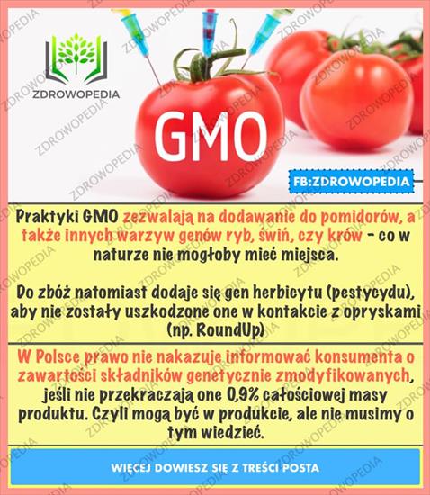GRAFIKA PROZDROWOTNA - GMO KONSEKWNCJE.jpg