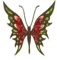 1 Motyle cudo  - btterfly071.gif