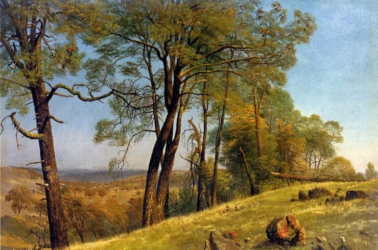 Albert Bierstadt - 30.jpg