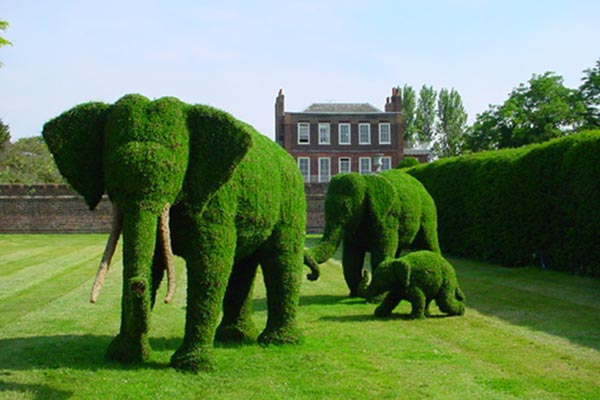 Cuda ogrodnicze - zielony slon.jpgsłonie.jpg
