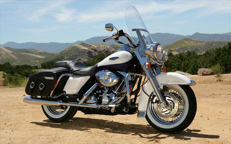 Harley Davidson - Harley 36.jpg