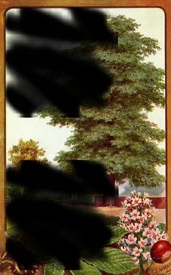 vintage - pictures-of-trees-1.png