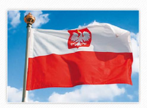 GALERIA MIAST - 1.Flaga Polski z godłem.jpg