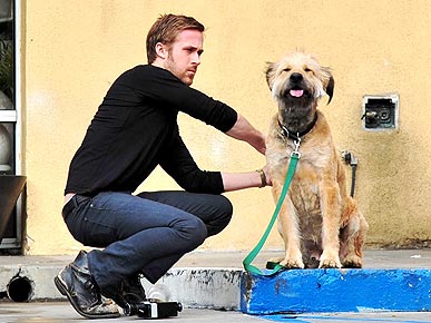 Ryan Gosling  George - Ryan Goslin dog 33.jpg