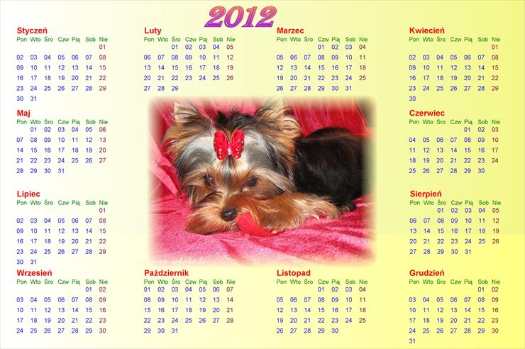 Kalendarze 2012 - t.jpg