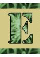 Alfabet Zielony - e.gif